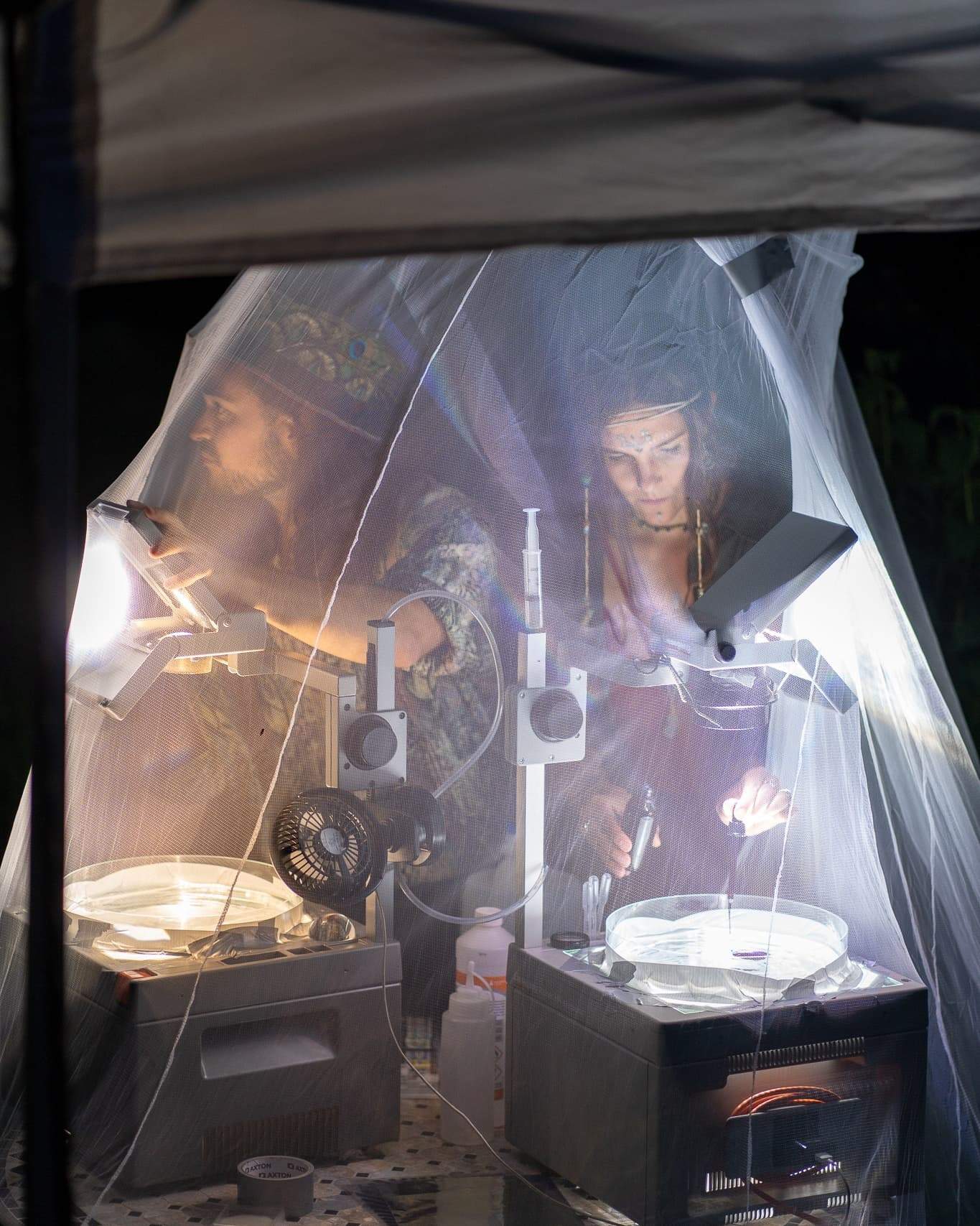 The mosquito net keeps the insects from flying into the plates