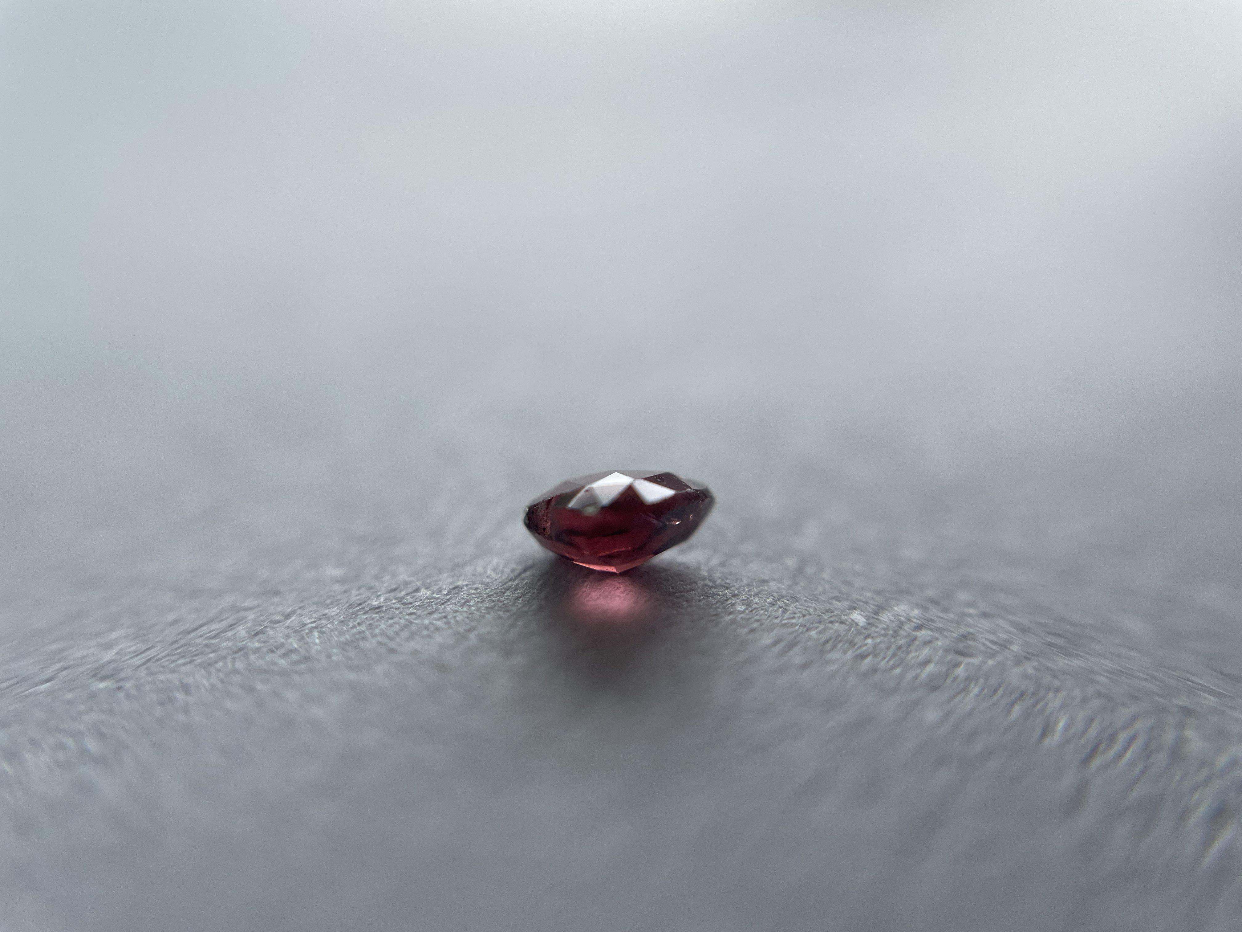 Garnet 0.2 ct.