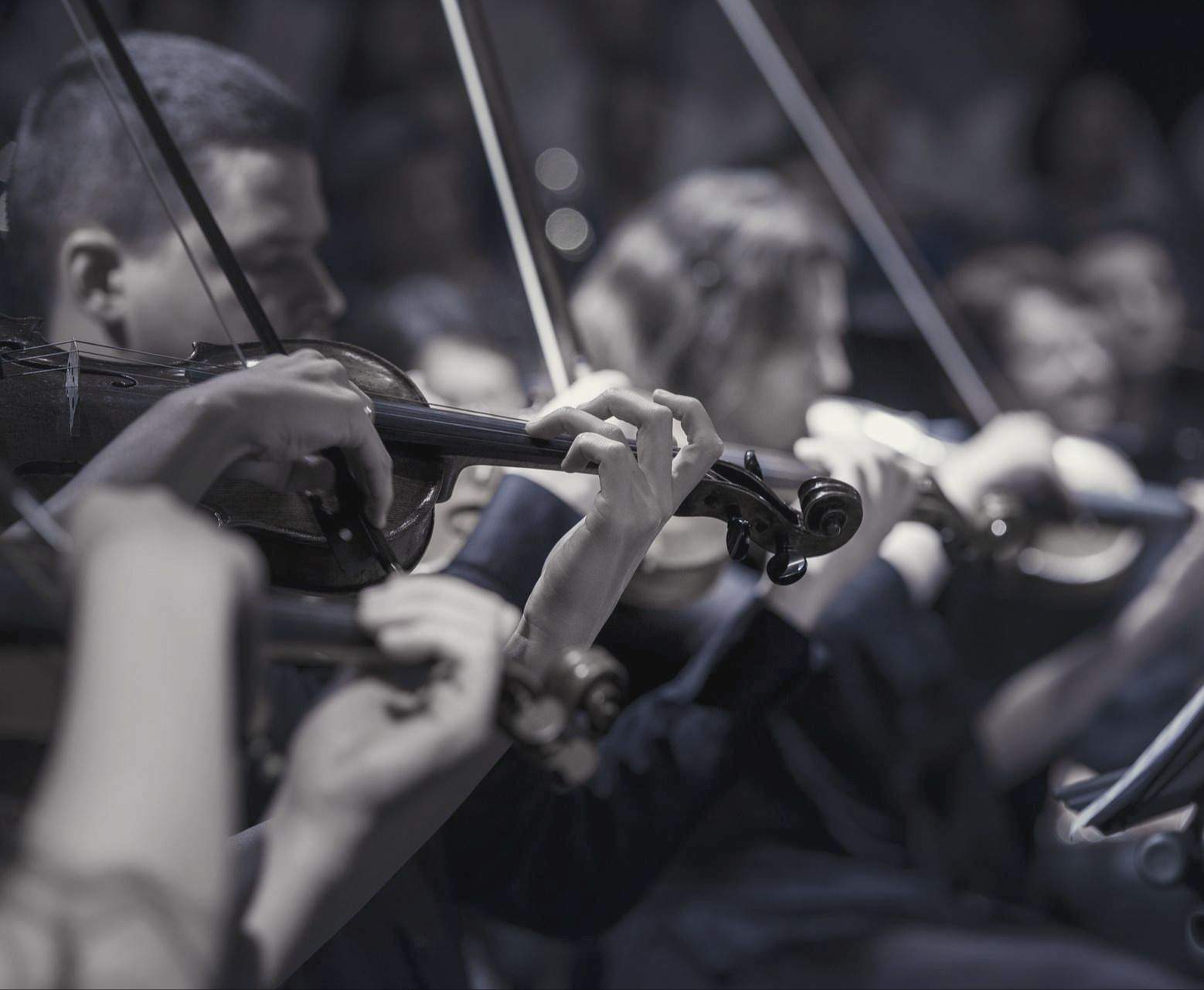 Ein Orchester spielt Geigen